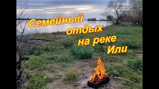 Белый степной гриб в саксауле