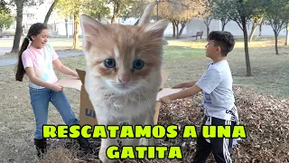 RESCATAMOS  A UNA GATITA