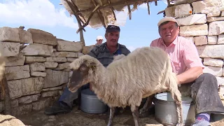 Histori shqiptare nga Alma Çupi - Salca në shakull e Trebeshinës! (24 shtator 2017)