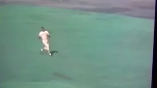 Roberto Clemente Amazing Spin & Throw Gets Merv Rettenmund!