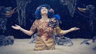 björk : mutual core