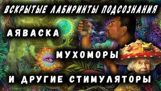 АЯВАСКА | МУХОМОРЫ | СТИМУЛЯТОРЫ | ВСКРЫТЫЕ ЛАБИРИНТЫ ПОДСОЗНАНИЯ | ОКСАНА ПОДОБА