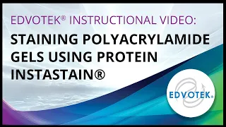 Staining Polyacrylamide Gels using Protein Instastain