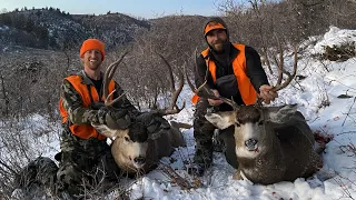 Two Buck Down!!! Colorado Mule Deer Hunt - Stuck N The Rut 179