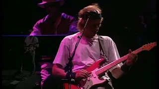 Dire Straits - Local Hero/Wild Theme - LIVE! (from On the Night DVD) - HQ AUDIO & VIDEO