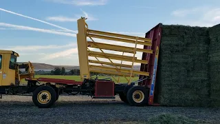 New Holland H9880 bale wagon unloading hay into stack.