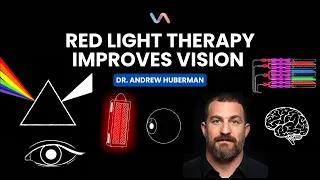 Unlock Better Vision with Dr. Andrew Huberman #animated