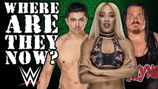 What Happened To EVERY 2019 WWE Release?