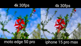 moto edge 50 pro vs iphone 15 pro max camera test || moto edge 50 pro camera test ||