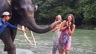 Elephant Spraying Water to Girls