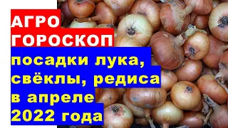 Агрогороскоп посадки лука, посева семян моркови, свёклы, сельдерея в апреле 2022 года