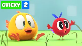 Onde está Chicky? | CHICKY E POYO NA FAZENDA | Desenhos Animados Infantil