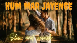 Hum Mar Jayenge | Aashiqui 2 |{slow and reverb } full song |Aditya Roy Kapur, shraddha kapoor #love❤