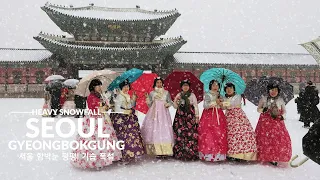 Snowfall SEOUL GYEONGBOKGUNG Palace, Heavy Snow Seoul, Snow Asmr Ambience, Seoul Travel Walker.