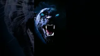 singa  harimau  serigala  macan kombang