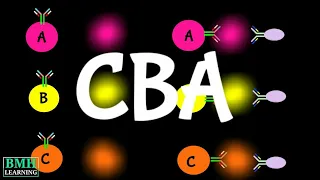 Cytometric Bead Array | CBA Assay |