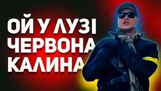 ОЙ у лузі червона калина (Remix-Music Ukraine 🇺🇦)