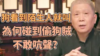 狗看到陌生人就叫，為何碰到偷狗賊不敢吭聲？很多人不知道 #圓桌派#窦文涛#观复嘟嘟#马未都