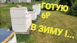 Чому злітають бджоли? #бджолипчеловодствов6тирамочныхульях