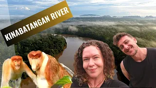 KINABATANGAN RIVER, a bucket list jungle experience? - Backpacking Borneo (7 of 9)