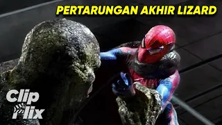 The Amazing Spider-Man | Pertarungan Akhir Lizard | Andrew Garfield, Emma Stone | ClipFlix