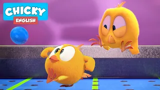 Where's Chicky? | FRIENDLY GAME | Chicky Cartoon in English for Kids