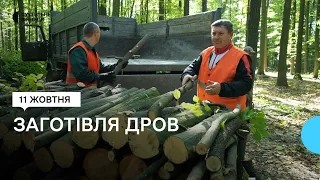 По 15 кубометрів на людину: як триває заготівля та скільки коштують дрова на Вінниччині