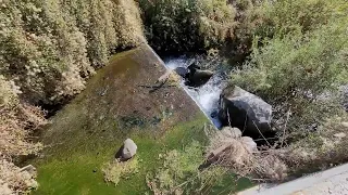 Small Oasis At A Culvert Pipe