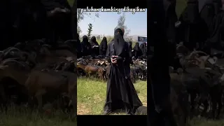 Masya Allah puluhan kambing dibagikan relawan ukhti muslimah bercadar