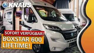 KNAUS BoxStar 600 LIFETIME | Kastenwagen  | Sofort verfügbar | Camper Van