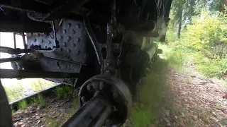 Gopro Mounted on Steam Train, Roaring Camp Railroad 2024