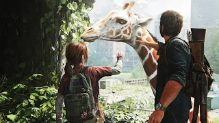 The Last of Us Part 1 Remake PS5 - Giraffe Scene