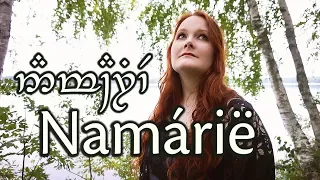Namárië - Galadriel's Lament | Lyrics | Aijin Hidelias cover