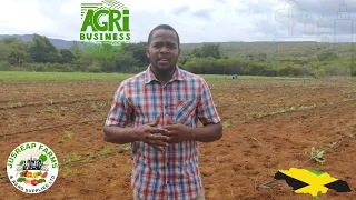 Introduction to Agribusiness