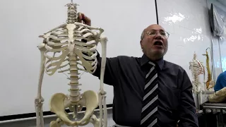 Practical osteology 1 ( clavicle , part 1) , by Dr. Wahdan