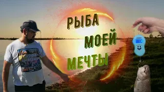 Рыбалка на Иртыше. Хороший улов весной 2021. Открытие фидерного сезона!!!