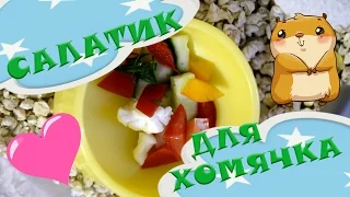 ✿ Овощной салатик для хомячка | Еда для хомячка ✿