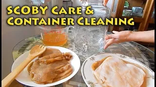 SCOBY Care & Container Cleaning