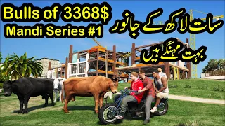 7 Lakh Ky Janwar | Qurbani 2022 | Mandi Series #1 | Radiator | GTA 5 Real Life Mods