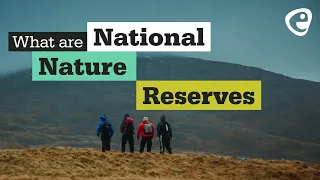 What are National Nature Reserves?