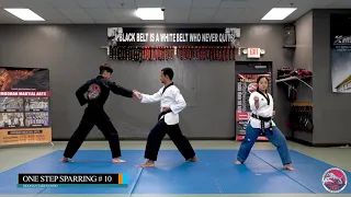 TAEKWONDO One Step Sparring #10 for Brown Belt. - Moohan Martial Arts 무한 태권도 한번 겨루기