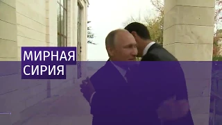 Путин поздравил Башара Асада с успешной борьбой с терроризмом