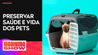 O que precisa mudar na lei de transporte de animais? Bancada analisa