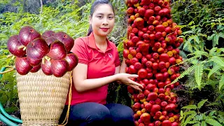 How to harvest RED figs & sell them at the market - Harvesting & cooking