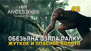 Обезьяна взяла палку. Жуткое и опасное болото - Ancestors: The Humankind Odyssey #2