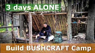 3 Days ALONE - Build BUSHCRAFT Permanent CAMP | WATER from SPHAGNUM & Nettle Soup