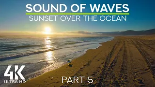 8 HOURS Relaxing Ocean Waves Sound & Squawking Seagulls - Beautiful Beach Sunset in 4K - Episode #5
