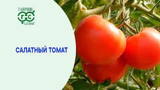 Вкусный салатный томат