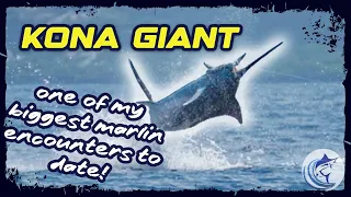 GIANT 900+ lb Blue Marlin | One of my Biggest  | Waterman S05E04 | Visions of Granders
