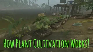 Everything You Need To Know About Plant Cultivation! | Green Hell